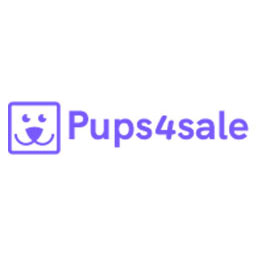 Pugalier Puppy